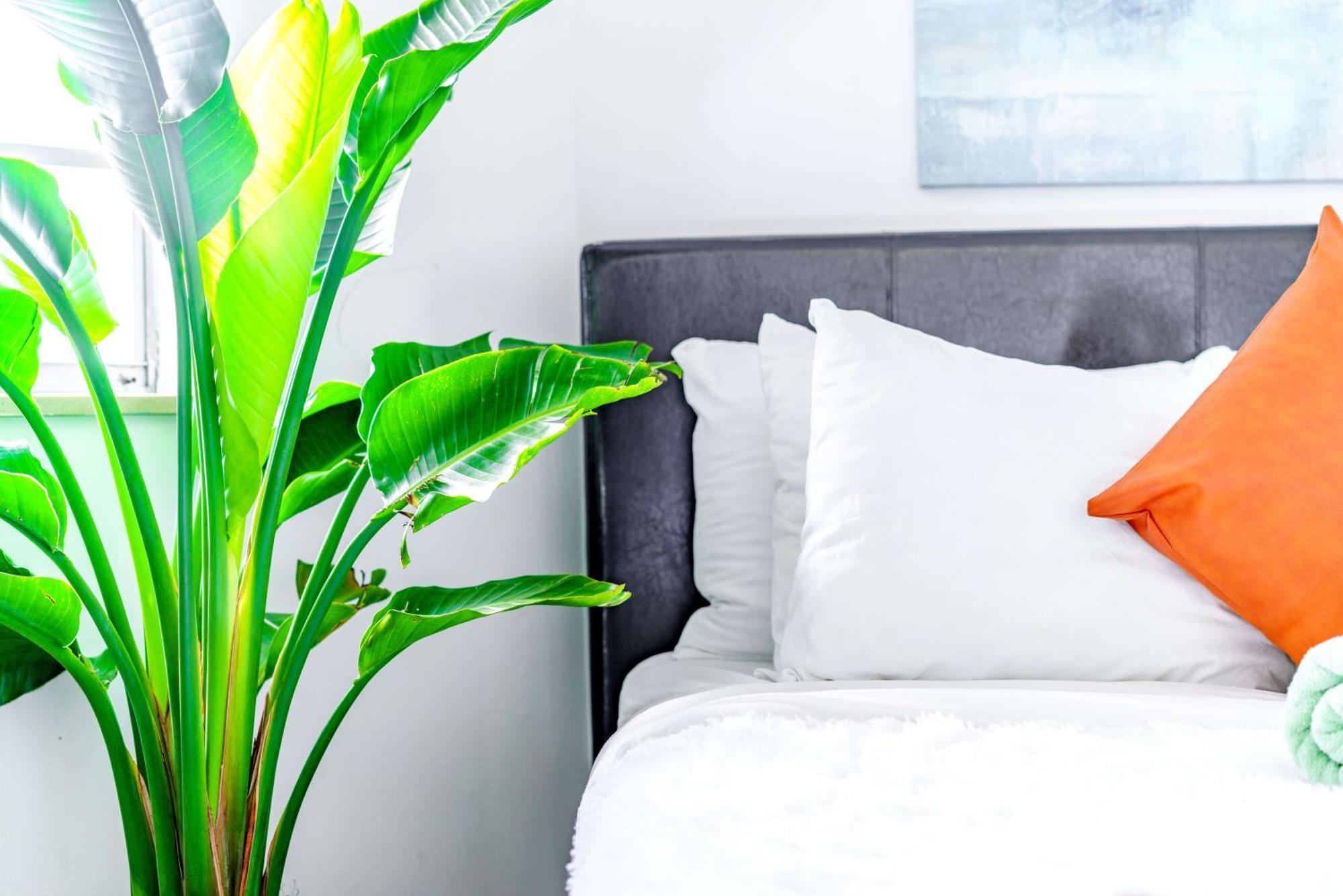 Apartamento Short North Convention Private Parking Pets *
