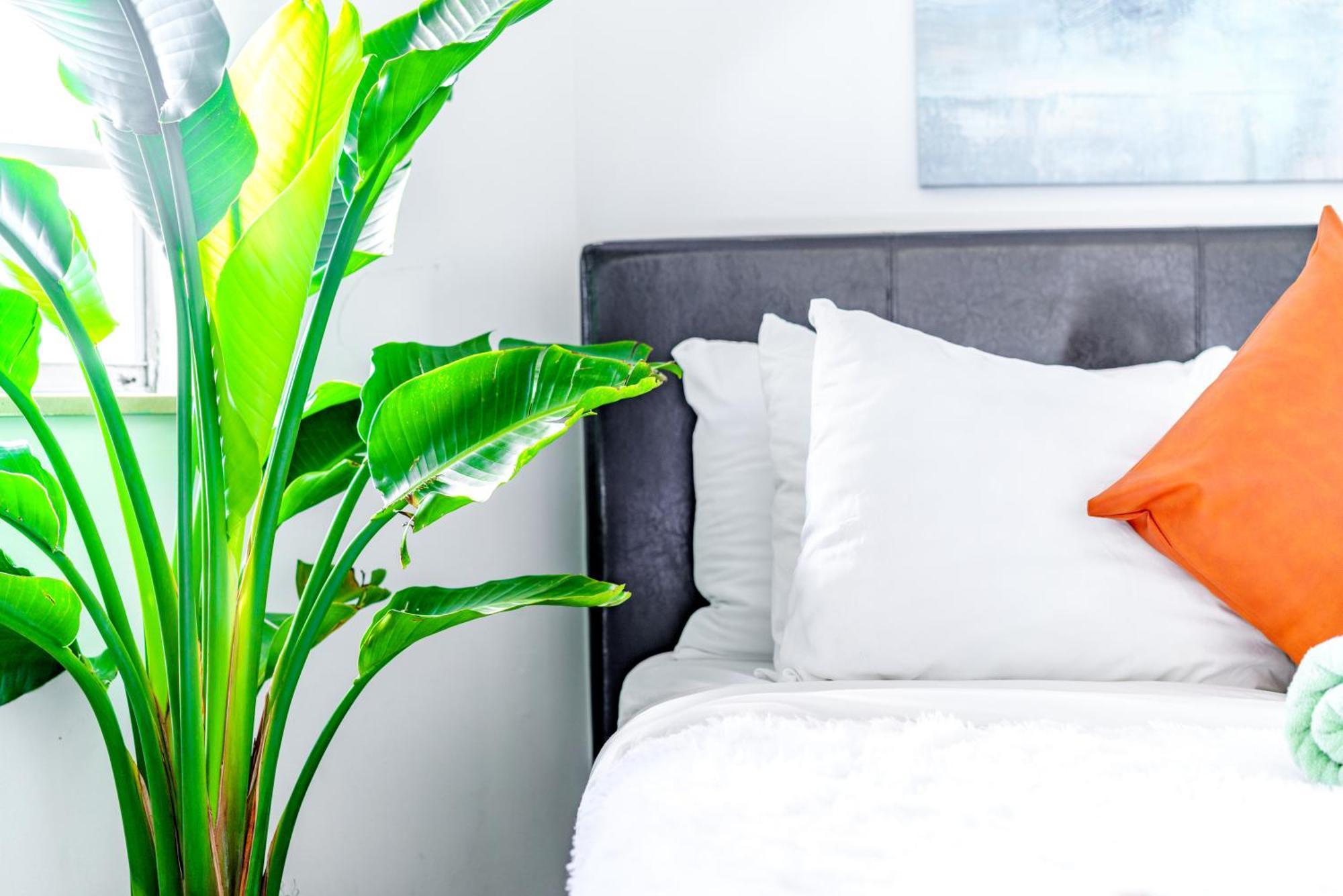 Short North Convention Private Parking Pets Apartamento